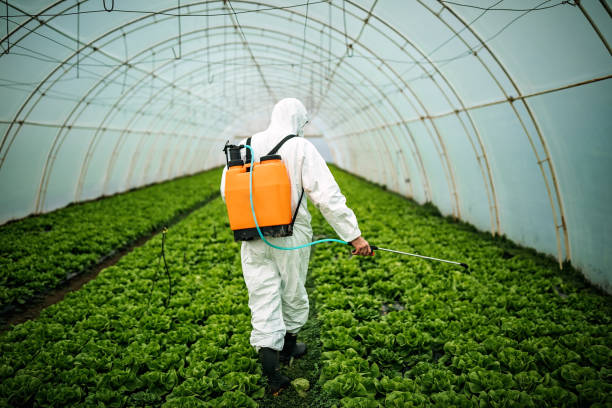 Best Pest Control Near Me  in Xtang, PA