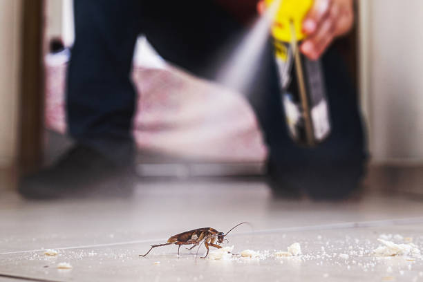 Pest Prevention Services in Paxtang, PA
