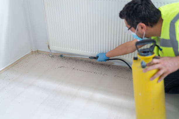 Professional Pest Control in Paxtang, PA